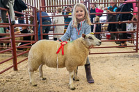 4 Sophie Sutherland age 6yre from Bogrie Overall Champion and First Prize Class 2Longtown Mart Young Handlers sponsored by Farmers Guardian - 8th August 2024